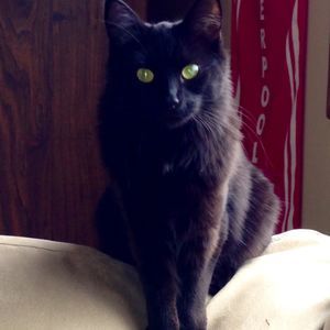 Meet your Posher, Trix